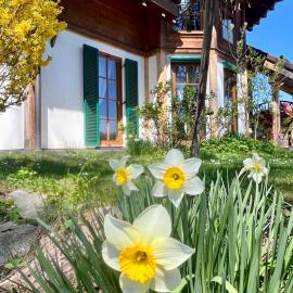 LaDolceVital im Tiroler Holzhaus mit Talblick โรงแรมในบัดเอลสเตอร์