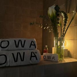 OWA Wellness Center