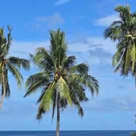 Ojala Beach Resort, hotel in New Agutaya