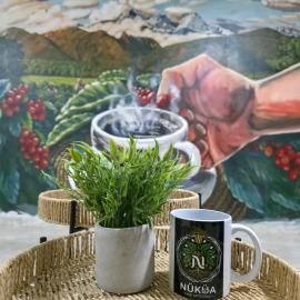 Casa Café Nukua