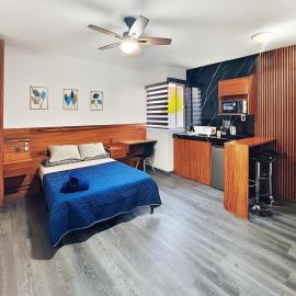 Modern & Private Loft in Morales, SLP, 1 Bedroom