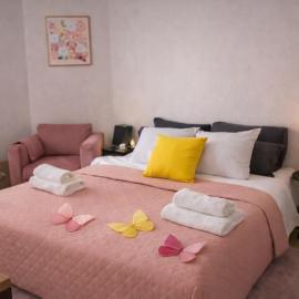 Chambre cosy Butterfly chez l'habitant avec jardin