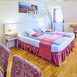 Penzion Lípa, hotel in Krásná Lípa