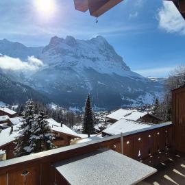ABO - Boutique Apartment - Chalet Horst, hotel in Grindelwald