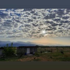 Morning Glow Lodge، فندق في تيلافي