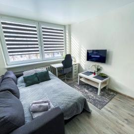 Urban Studio Vilnius، فندق في فيلنيوس