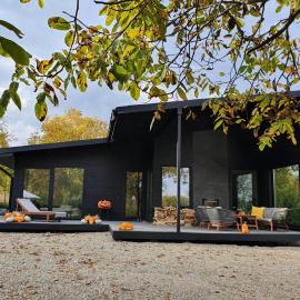 Black Walnut House with indoor outdoor fireplace