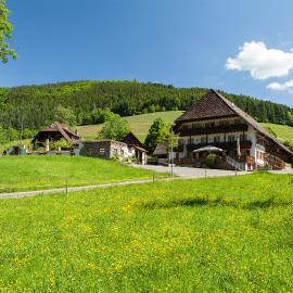 Landgasthaus Grüner Baum, hotel en Simonswald