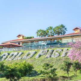 Hotel Gold Fish, hotel em Corumbá