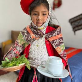 Patacancha indigenous lodge Perú, Hotel in Ollantaytambo