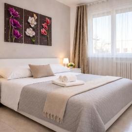 Casa Bramante - Comfort tra Inalpi Arena, Ospedali e Centro