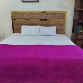 Rohit Homestay, hotel in Bulandshahr