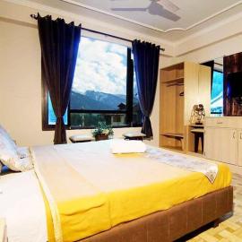 Hotel Daidy - Best Hotel In Manali