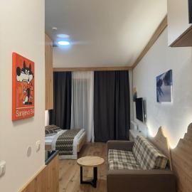 Apartman Mak D038 - u sklopu hotela Vucko Jahorina, hotel in Jahorina