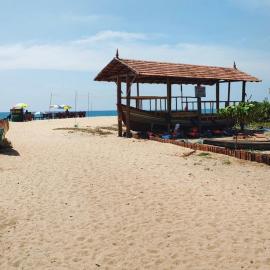 Dolphin beach resort