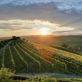 Holiday Home Cannubi in Barolo, hotel en Barolo