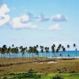 Porto de Galinhas - Cupe Exclusive Apto 104