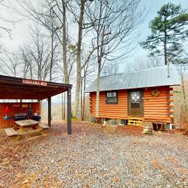 Secluded Dog Friendly Cabin Sleeps 4 Mtn View Tub