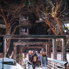 Chalet Apartments - Mt Buller Apartment Rentals, hotel in Mount Buller