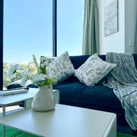 Bright Sunny 1BD Apt in Phillip Free Parking