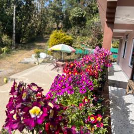 Elves Homestay, hotel em Rhenok