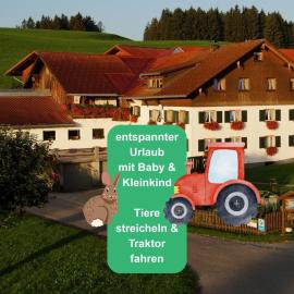 Ferienhof Eger - entspannter Urlaub mit Baby & Kleinkind - wahlweise top modern oder günstige Fewos - ruhig am Ende der Straße - Kälbchen füttern - Traktor fahren - Freie Fahrt mit den Hörnerbahnen in Sommersaison - E-Ladestation - E-bike Verleih ab Hof, hotel in Immenstadt im Allgäu
