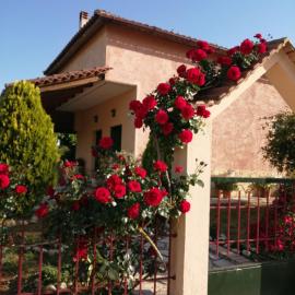 Monica's Country House
