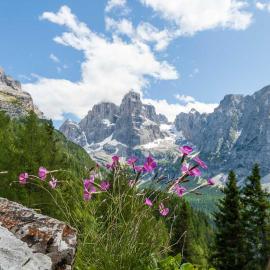 Appartamento Brenta, hotel a Stenico