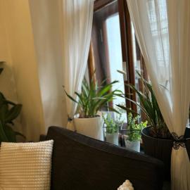 Apartmány PARK
