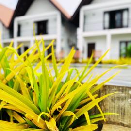 Gagana Resort