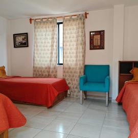 Habitación Tulipán