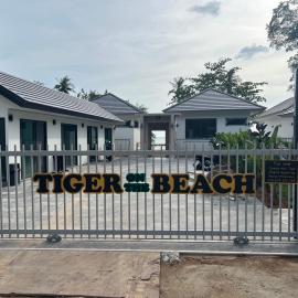 Tiger on the Beach