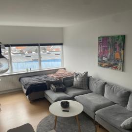 흐비도브르에 위치한 호텔 Small but cozy 1 bedroom Apartment with Living room
