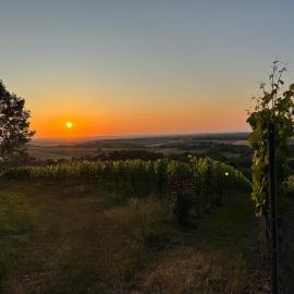 Panorama 180