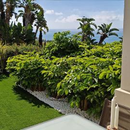 Casa Rivera