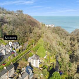 Ashridge near Lynton