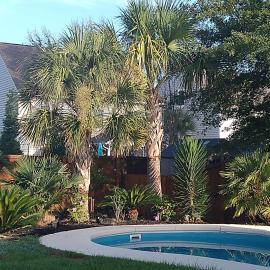 Private Master Suite for Solo Travelers w special rates extended stays, hotel din Charleston
