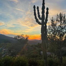 Painted sky casita, hotel in San Diego