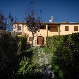 IMMERSA NEL VERDE