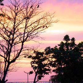 Tangalle Rest House