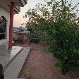 Padda Farm house, hotel a Patiāla