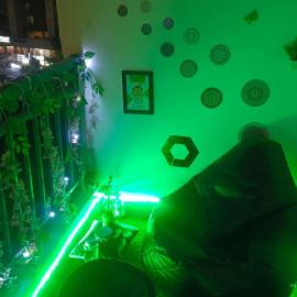 NXone STUDIO APARTMENT, hotel in Noida