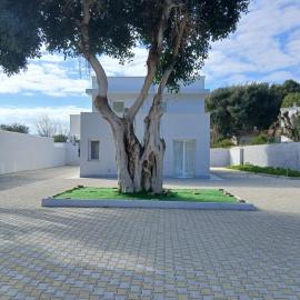 Newfaro2