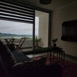 Departamento Concepción