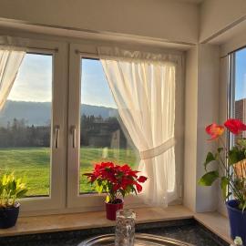 Vierländereck - Suites - Leiblachtal