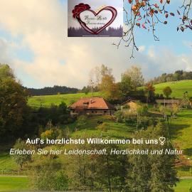 Hernis-Höfle 5 Sterne "Wohlfühlambiente " im Elztal, hotel in Elzach