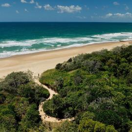 Absolute Beach Front Home -Dogs, Surf, Relax, Bush