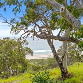 Surf Gums, Sleeps 9, Pet Friendly, Fully Renovated, hotel i Point Lookout