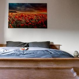Cosy farmhouse with sauna, hotel in Sint-Truiden