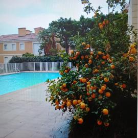 Proche de Monaco appartement devant piscine, hotel a Beausoleil